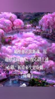 双点医院